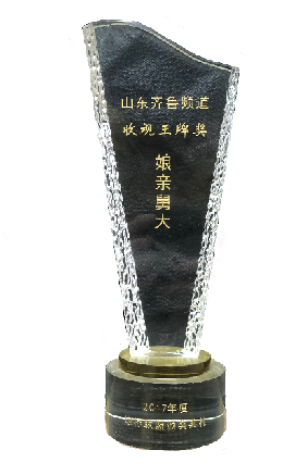 山东卫视收视王牌