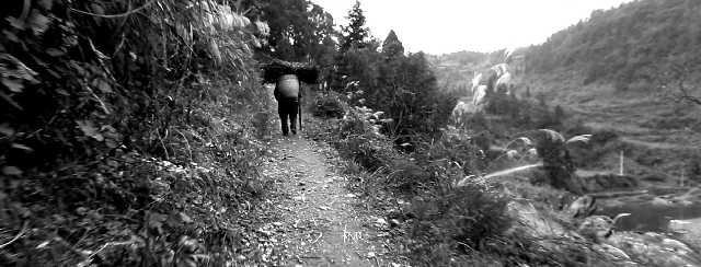 公益宣传片《茶山村》